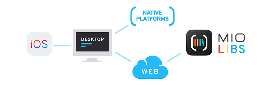 Diagram of development options